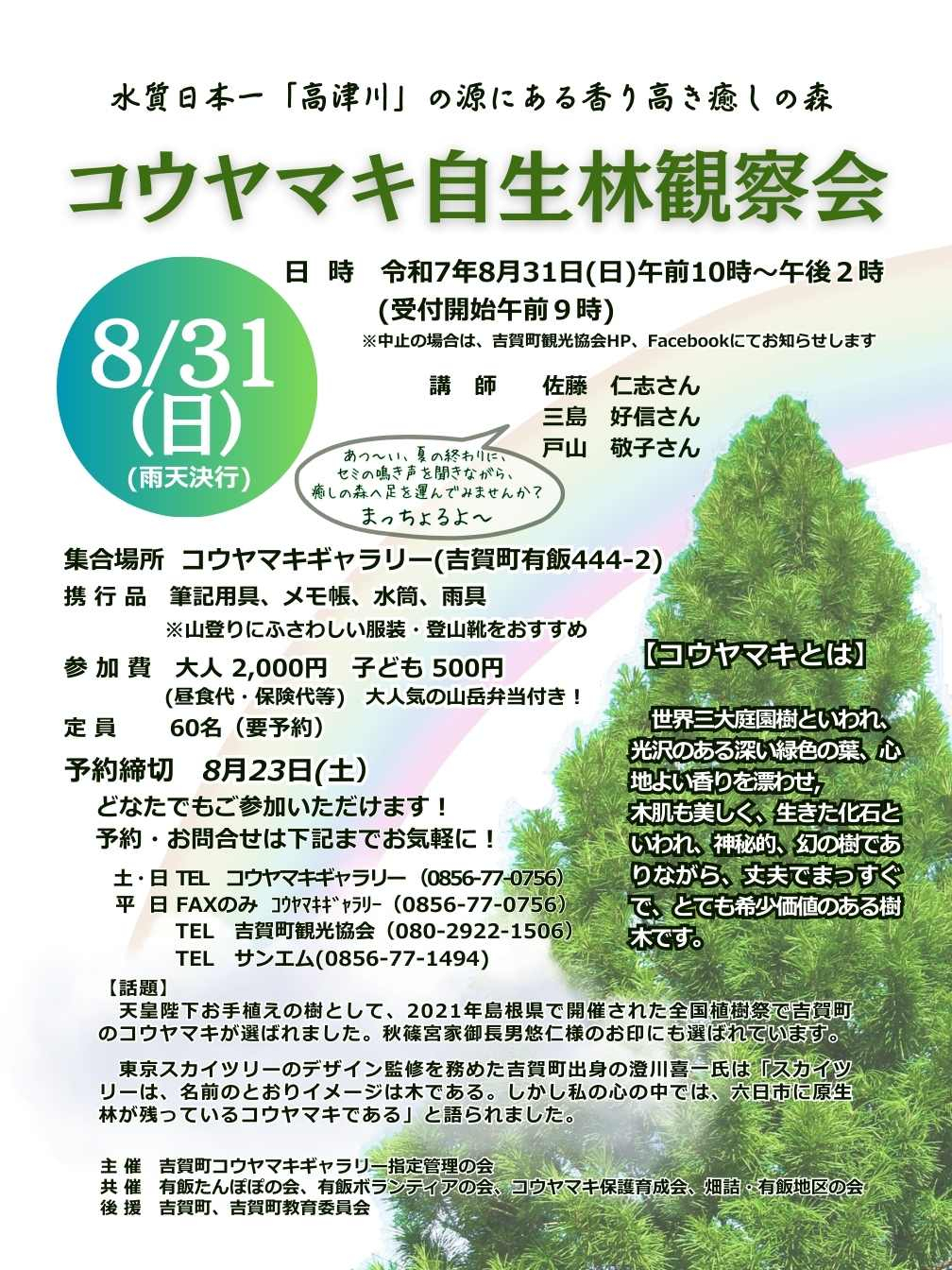 コウヤマキ観察会2025