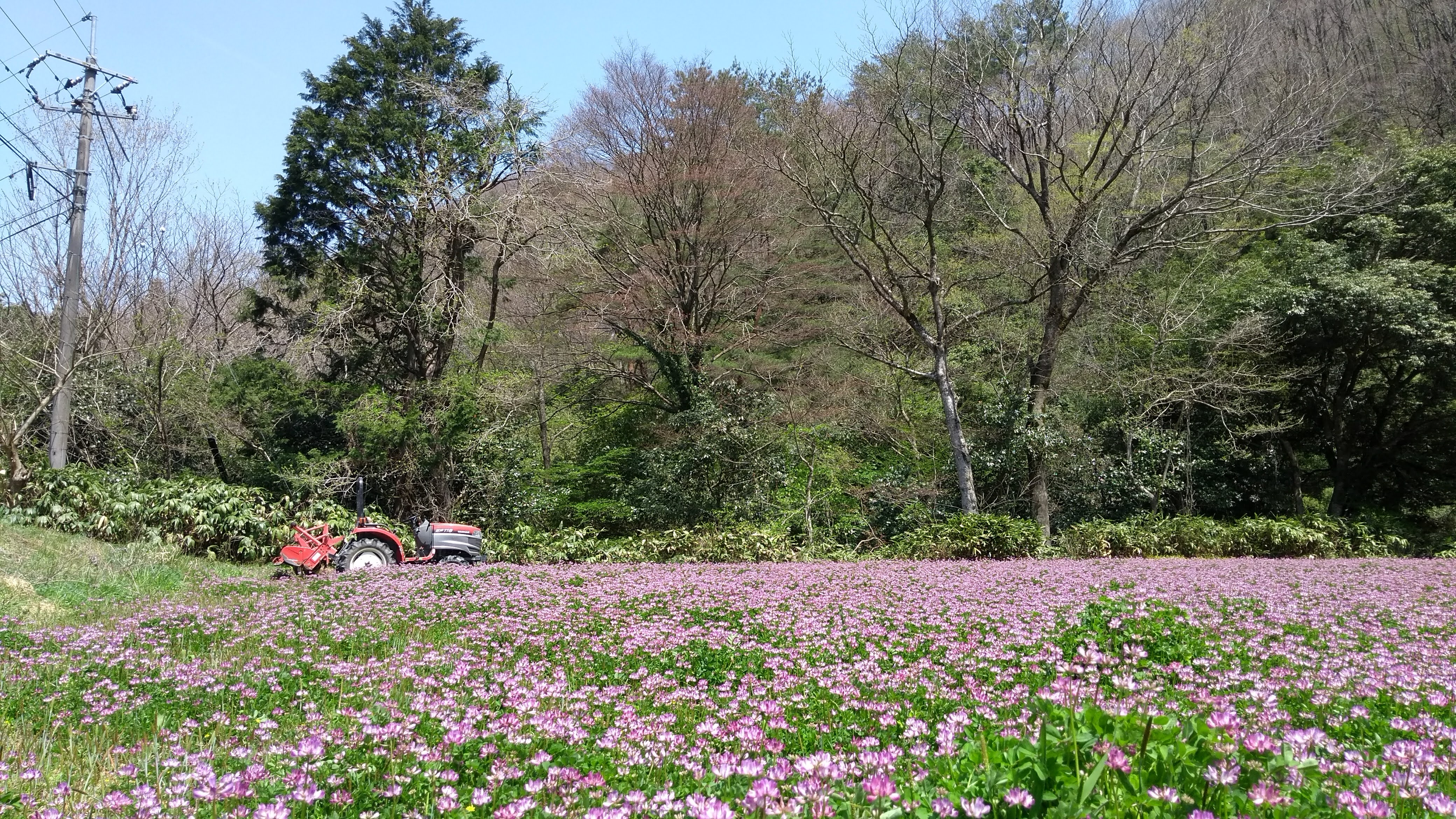 IMG_20190421_114115007