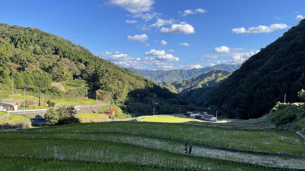 島根県吉賀町の大井谷の棚田を見下ろす風景
